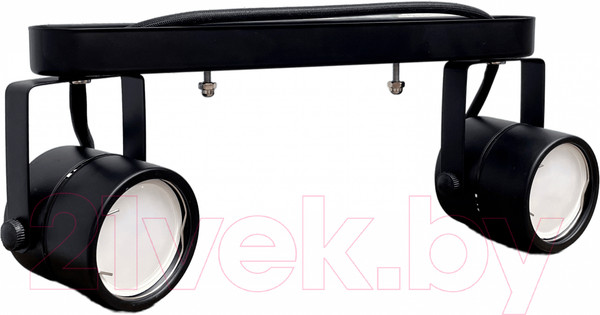 Изображение товара Спот Truenergy 21352