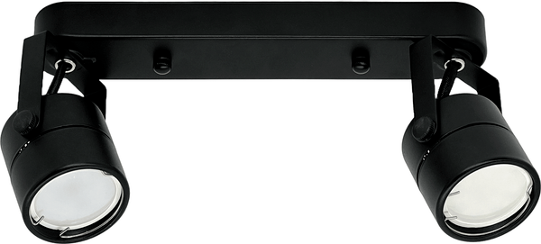 Спот Truenergy 21352