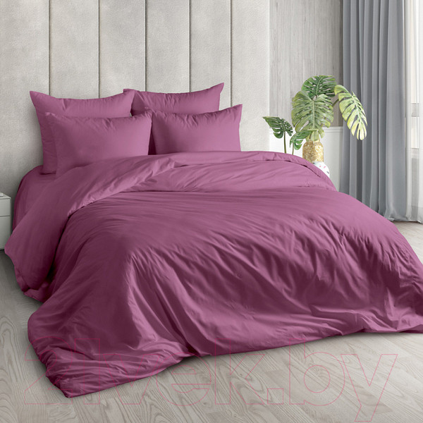 Изображение товара Комплект постельного белья Царство сновидений Брусника 2.0 / 150-555