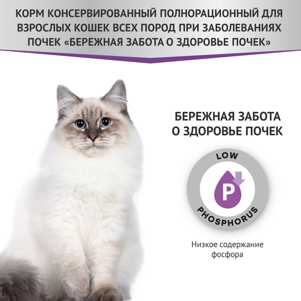 Изображение товара Влажный ветеринарный корм для кошек Мираторг Expert Renal Бережная забота о здоровье почек / 1010024063 (80г)