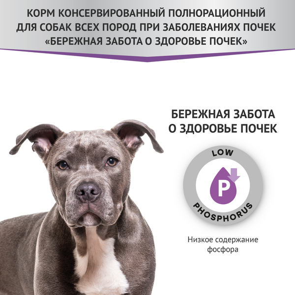 Изображение товара Влажный ветеринарный корм для собак Мираторг Expert Renal Бережная забота о здоровье почек / 1010020600 (85г)