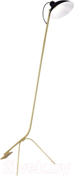Изображение товара Торшер ST Luce SL1803.205.01