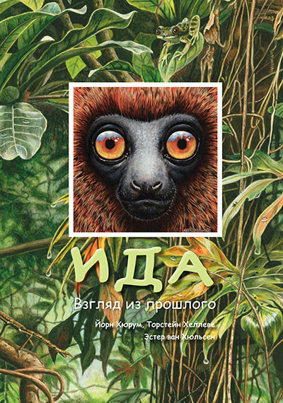 Изображение товара Книга Пешком в историю Ида. Взгляд из прошлого (Хюрум Й.)