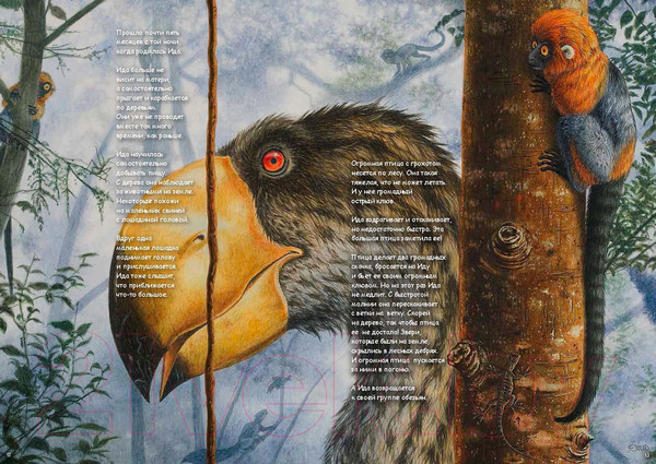 Изображение товара Книга Пешком в историю Ида. Взгляд из прошлого (Хюрум Й.)