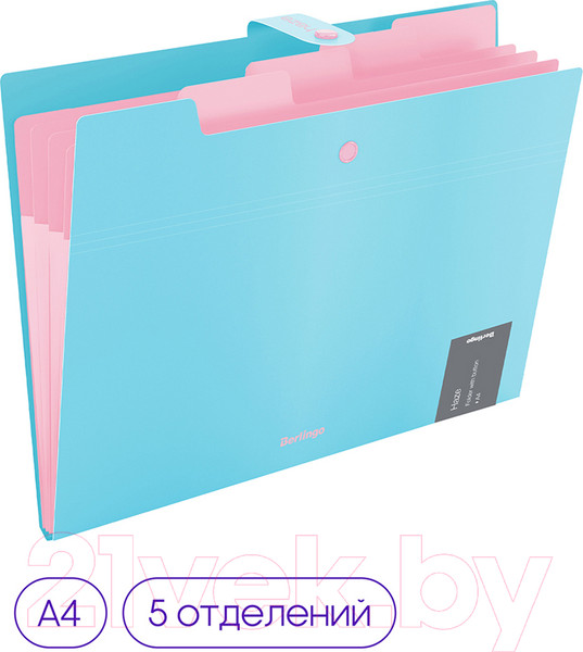 Изображение товара Папка для бумаг Berlingo Haze / XF4_05921 (голубой)