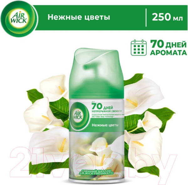 Изображение товара Сменный блок для освежителя воздуха Air Wick Airwick Freshmatic Refill White Flowers (250мл)