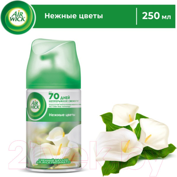 Изображение товара Сменный блок для освежителя воздуха Air Wick Airwick Freshmatic Refill White Flowers (250мл)