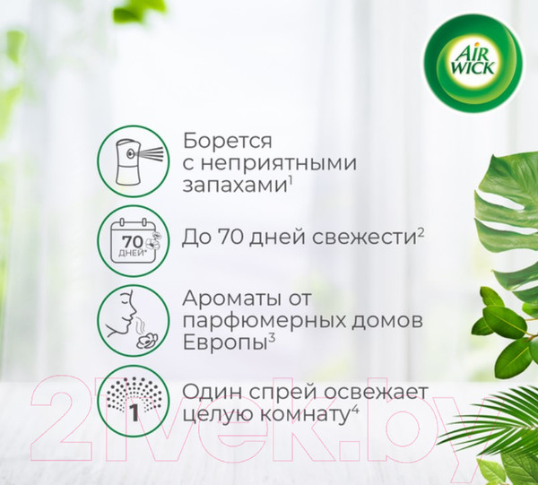 Изображение товара Сменный блок для освежителя воздуха Air Wick Airwick Freshmatic Refill White Flowers (250мл)