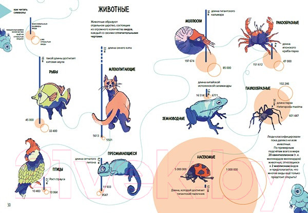 Изображение товара Энциклопедия Пешком в историю Планета Земля. Мир вокруг нас в инфографике (Пиродди К.)