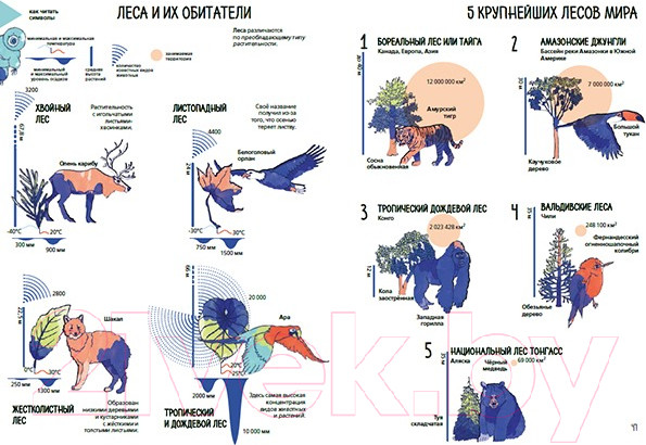 Изображение товара Энциклопедия Пешком в историю Планета Земля. Мир вокруг нас в инфографике (Пиродди К.)