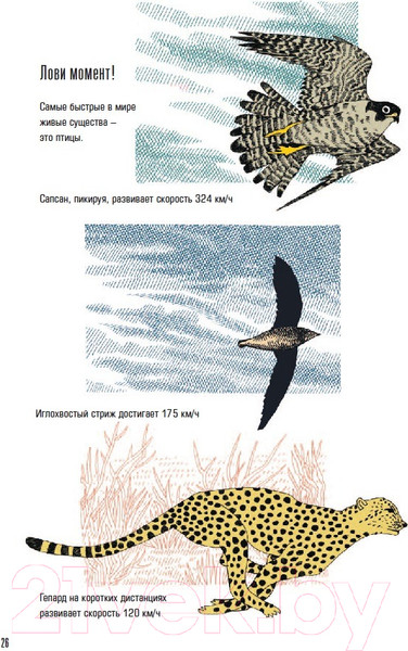 Изображение товара Энциклопедия Пешком в историю Время! Вечное путешествие (Аскари Д.)