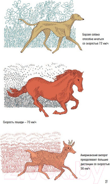 Изображение товара Энциклопедия Пешком в историю Время! Вечное путешествие (Аскари Д.)
