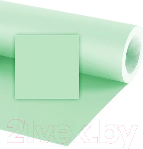 Изображение товара Фон бумажный RayLab Mug Wort 053 (2.72x11м, полынь)
