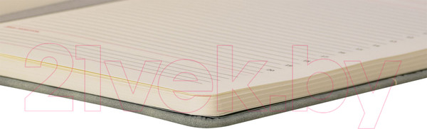 Изображение товара Ежедневник inФормат Modern / IFDNB-MDRNA5/G (136л, серый)