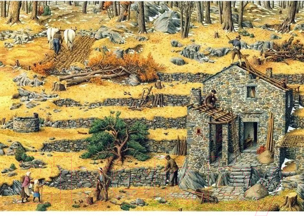 Изображение товара Книга Пешком в историю Старый дом (Льюис П., Инноченти Р.)