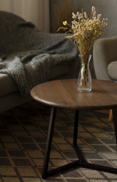 Изображение товара Журнальный столик Stal-Massiv 54x42.5 / SMT-54DD (дуб мореный/черный)