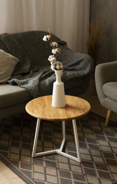 Изображение товара Журнальный столик Stal-Massiv 54x42.5 / SMT-54NW (дуб натуральный/белый)