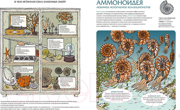 Изображение товара Энциклопедия Пешком в историю Животные затерянного мира (Лавердан Д., Ражак Э.)