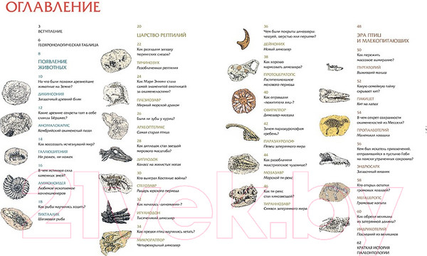 Изображение товара Энциклопедия Пешком в историю Животные затерянного мира (Лавердан Д., Ражак Э.)