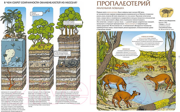 Изображение товара Энциклопедия Пешком в историю Животные затерянного мира (Лавердан Д., Ражак Э.)