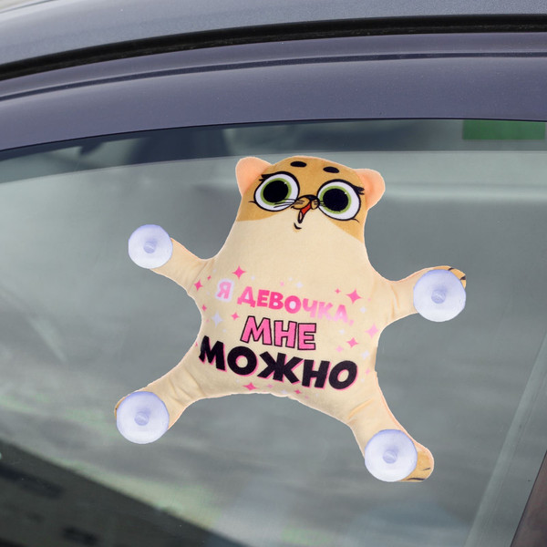 Изображение товара Автоигрушка Milo Toys Я девочка, мне можно на присосках / 7384667