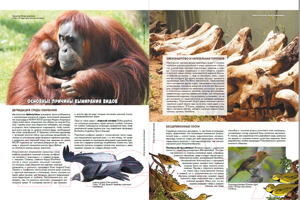 Изображение товара Комикс Пешком в историю Зоопарк исчезнувших животных Т.1 (Казнов К., Блоз)