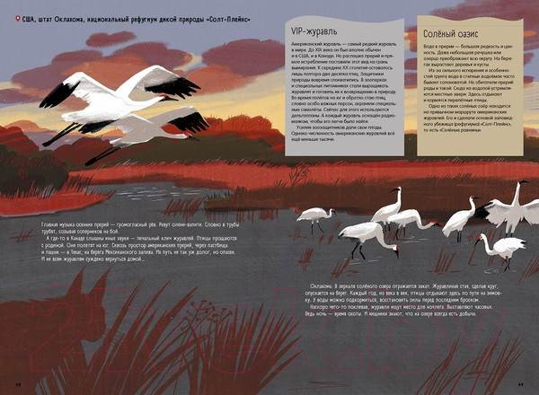 Изображение товара Энциклопедия Пешком в историю Степи, прерии, пампасы. Один год жизни исчезающего биома (Маслов-Острович Ю.)