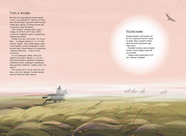 Изображение товара Энциклопедия Пешком в историю Степи, прерии, пампасы. Один год жизни исчезающего биома (Маслов-Острович Ю.)