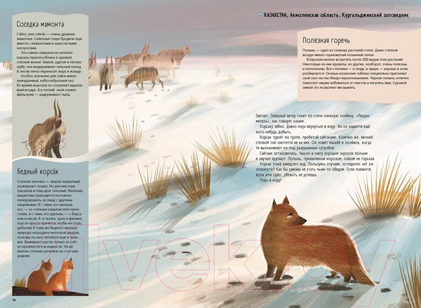 Изображение товара Энциклопедия Пешком в историю Степи, прерии, пампасы. Один год жизни исчезающего биома (Маслов-Острович Ю.)