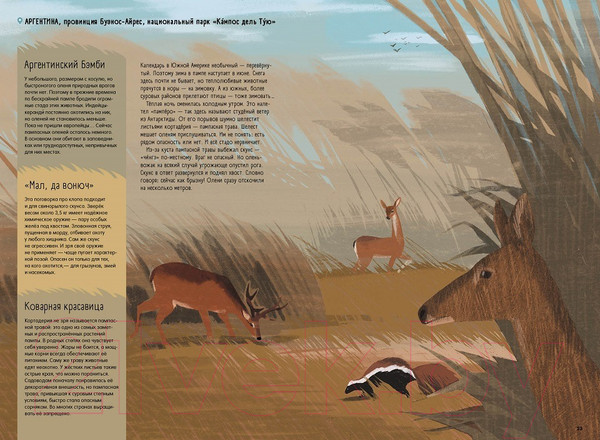 Изображение товара Энциклопедия Пешком в историю Степи, прерии, пампасы. Один год жизни исчезающего биома (Маслов-Острович Ю.)