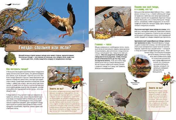 Изображение товара Комикс Пешком в историю Птицы в комиксах-2 (Гаррера, Сирван)