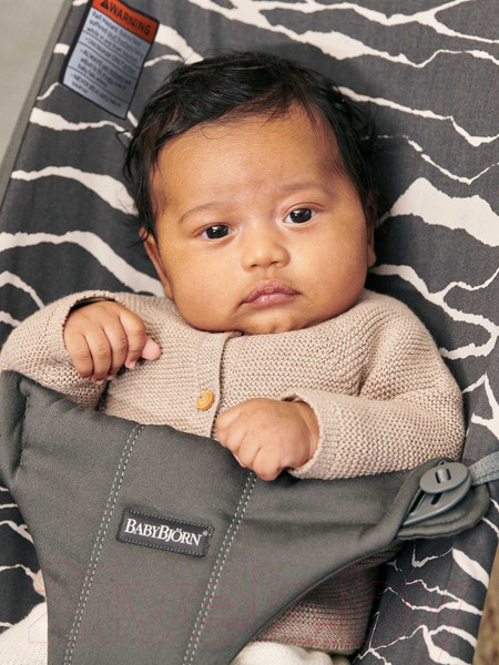 Изображение товара Детский шезлонг BabyBjorn Bliss Cotton 0060.27