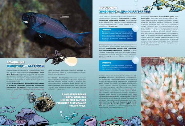 Изображение товара Комикс Пешком в историю Морские животные в комиксах Т.6 (Казнов К., Житери)