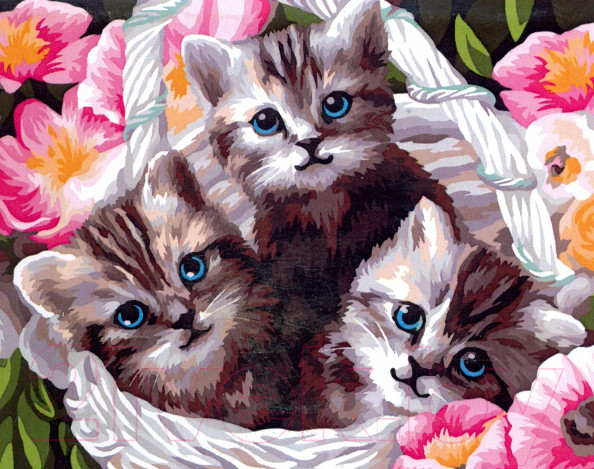 Изображение товара Картина по номерам Школа талантов Котята / 5351081