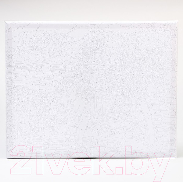 Изображение товара Картина по номерам Школа талантов Девочка с велосипедом / 5351082