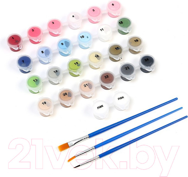 Изображение товара Картина по номерам Школа талантов Девочка с велосипедом / 5351082