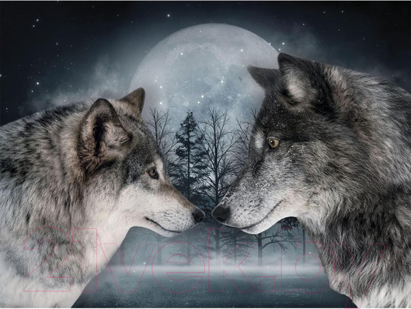 Изображение товара Набор алмазной вышивки Школа талантов Волки / 5361592