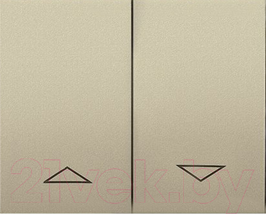 Изображение товара Клавиша для выключателя Legrand Galea Life 771414 (титан)