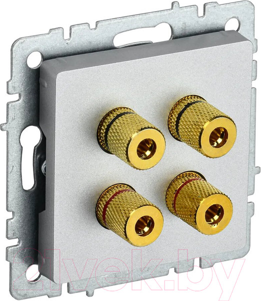 Изображение товара Розетка IEK Brite BR-S40-K47 (алюминий)