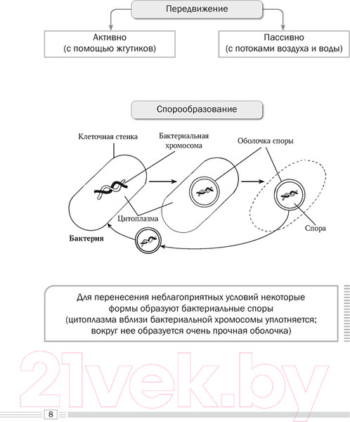 Изображение товара Учебное пособие Аверсэв Биология. 7 класс. Опорные конспекты, схемы и таблицы (Лисов Н.Д.)