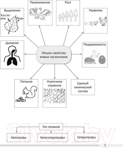 Изображение товара Учебное пособие Аверсэв Биология. 7 класс. Опорные конспекты, схемы и таблицы (Лисов Н.Д.)