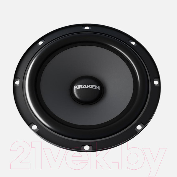 Изображение товара Компонентная АС Prology RX-65CS