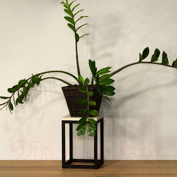 Изображение товара Стойка для цветов Millwood 25x25x35 (дуб белый Craft/металл черный)