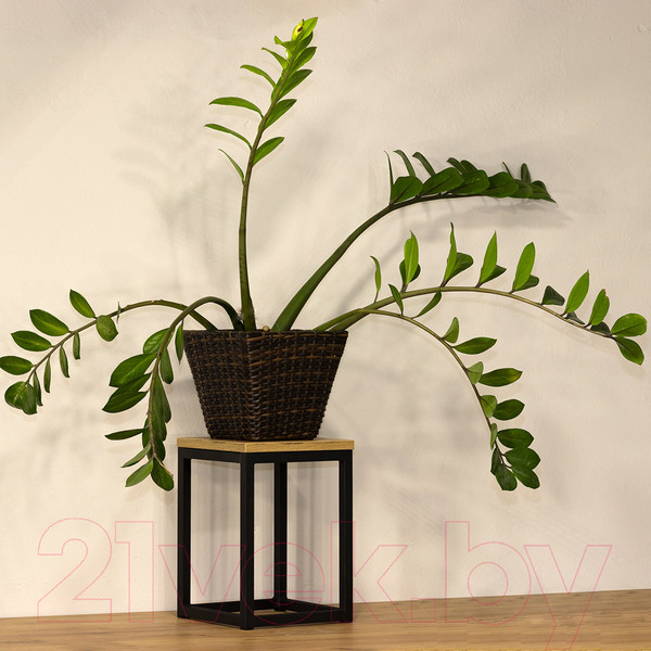 Изображение товара Стойка для цветов Millwood 25x25x35 (дуб золотой Craft/металл черный)