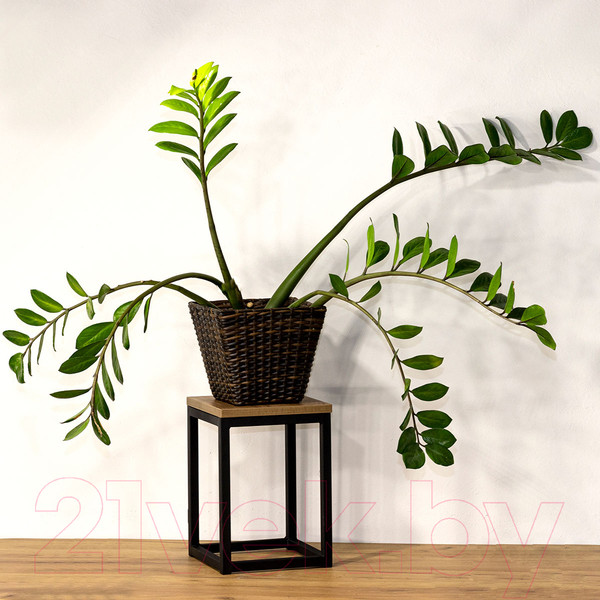 Изображение товара Стойка для цветов Millwood 25x25x35 (дуб табачный Craft/металл черный)