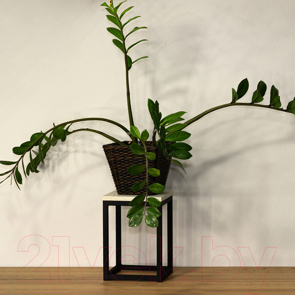 Изображение товара Стойка для цветов Millwood 25x25x35 (белый/металл черный)