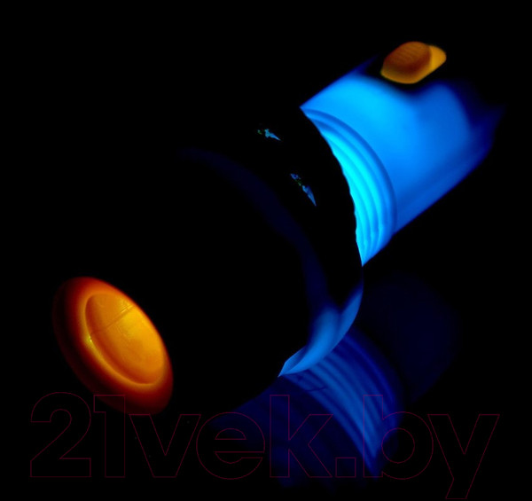 Изображение товара Развивающий игровой набор Zabiaka В мире динозавров. Проектор / 4879739