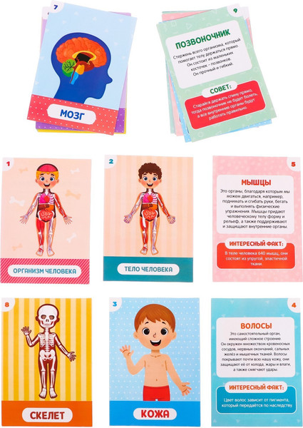 Изображение товара Развивающий игровой набор Zabiaka Мое тело / 7508104
