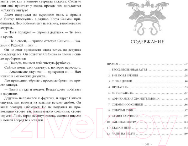 Изображение товара Книга Эксмо Заклятый брат (Картер Э.)