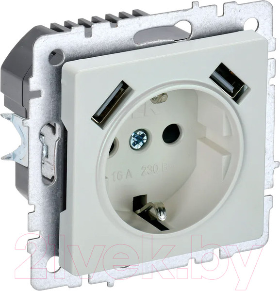 Изображение товара Розетка IEK Brite BR-R14-16-U21-D31-K36 (жемчуг)